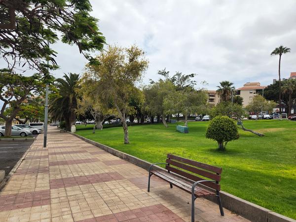 Ampio giardino con alberi e panchina vicino alla plaza dei pompieri ad Adeje.
